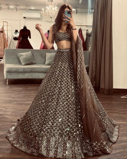 Beautiful Copper Brown Soft Net Sequence Work Lahenga Choli With Dupatta